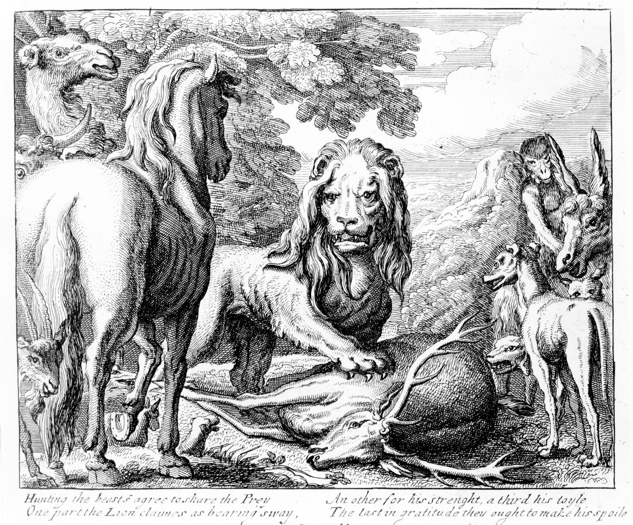 The Lion