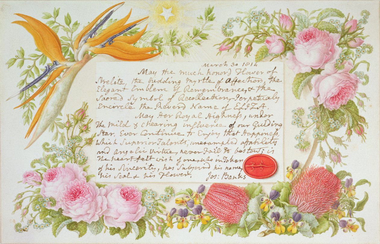 En omringning av blandede blomster med en påskrevet melding av Joseph Banks, 1814 (wc på papir) av Francis Bauer