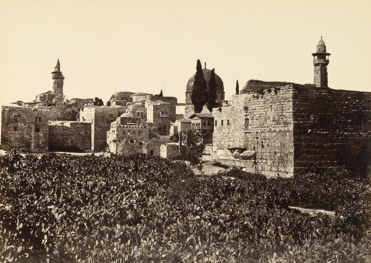 Avfallssteder i Jerusalem mellom Sion -fjellet og Det hellige tempel av Francis Frith
