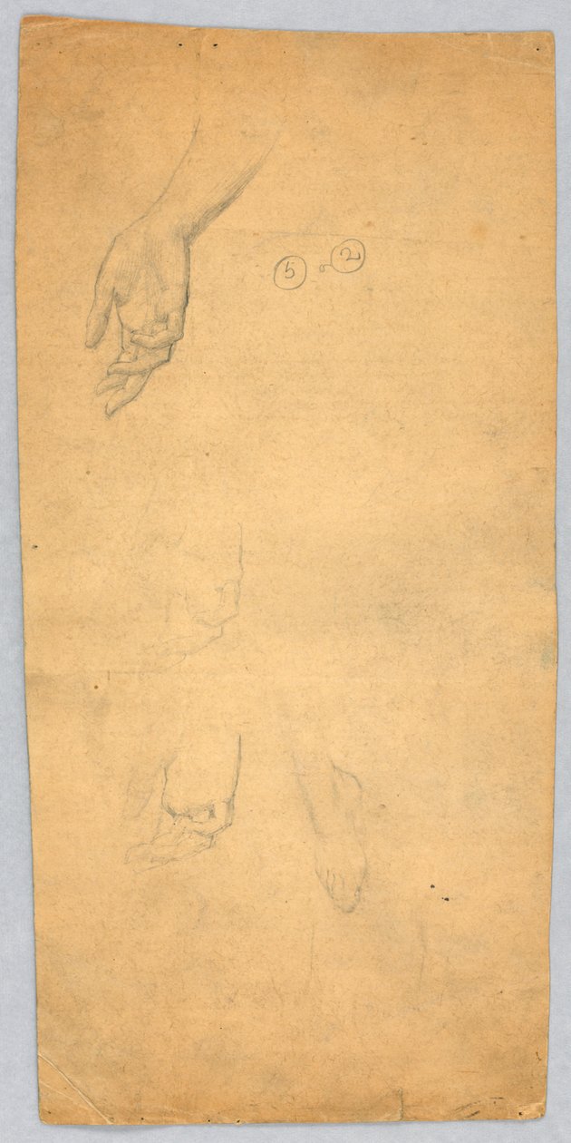 Studier av hender og en fot av Francis Augustus Lathrop