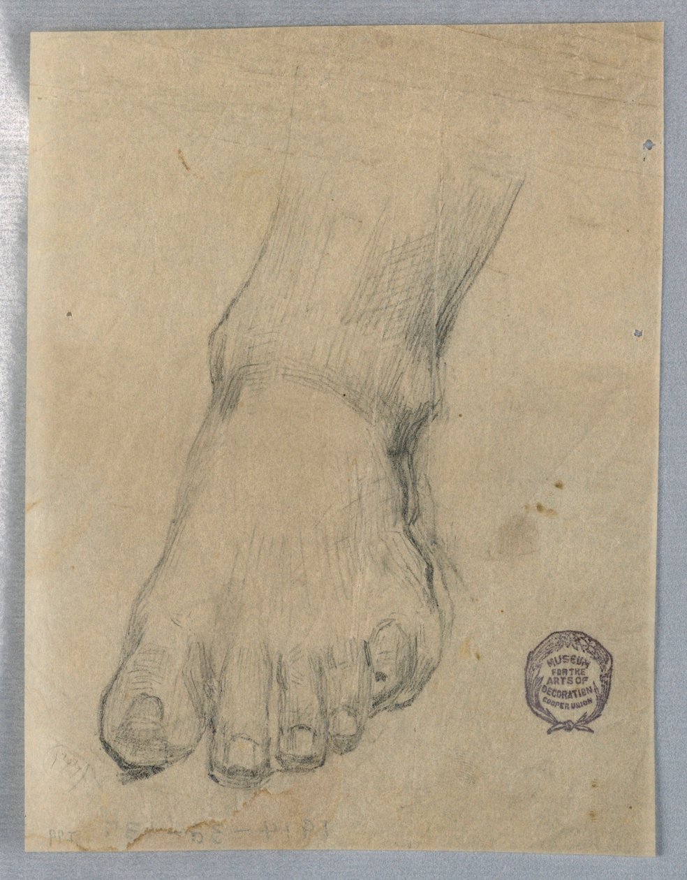 Studer for en fot av Francis Augustus Lathrop