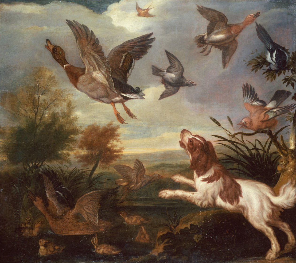 A Spaniel Flushing Mallard (olje på lerret) av Francis Barlow