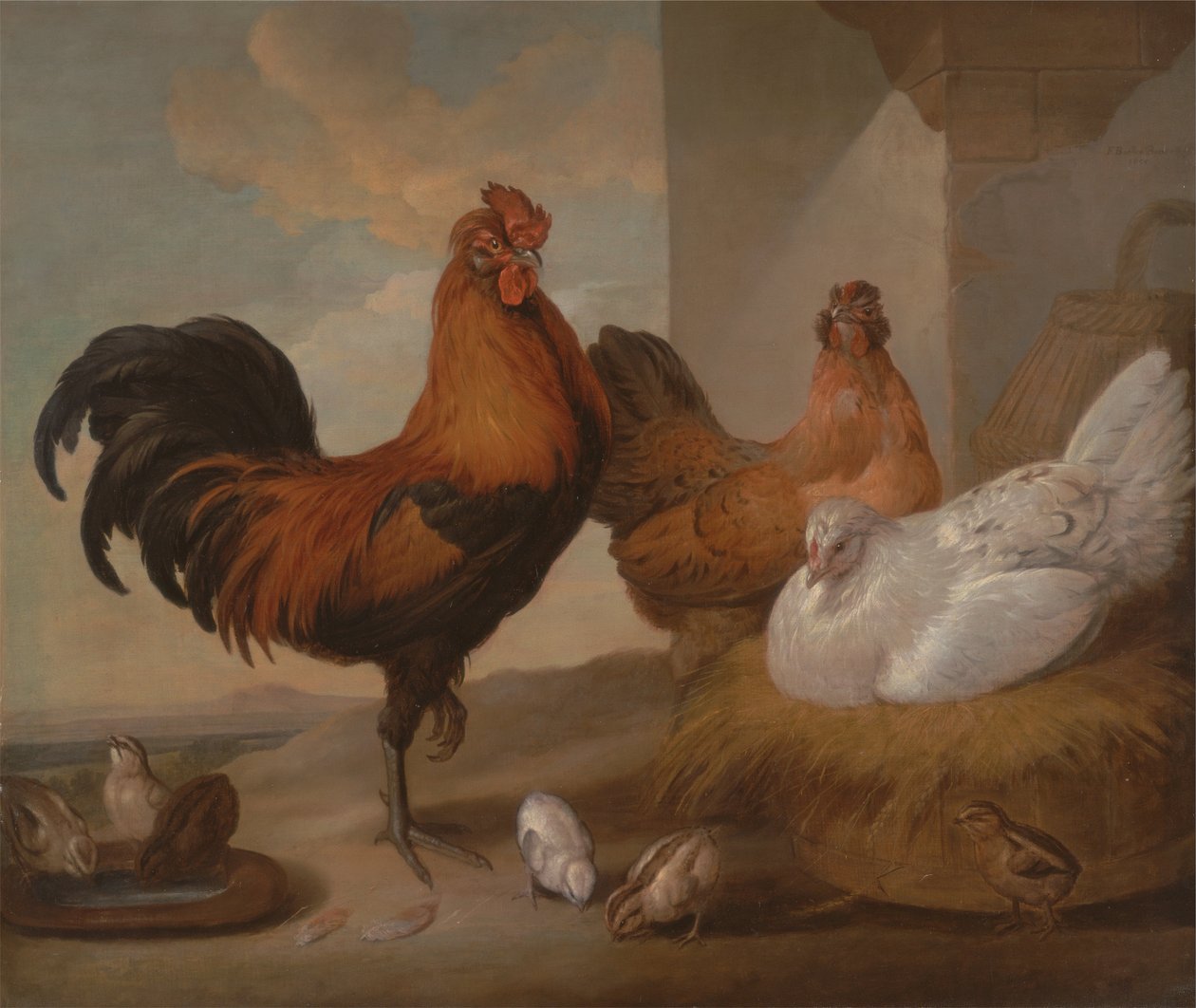  av Francis Barlow