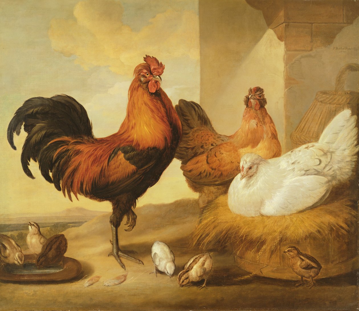 Tamhane, høner og kyllinger, 1655 av Francis Barlow