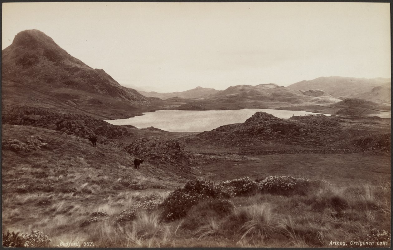  av Francis Bedford