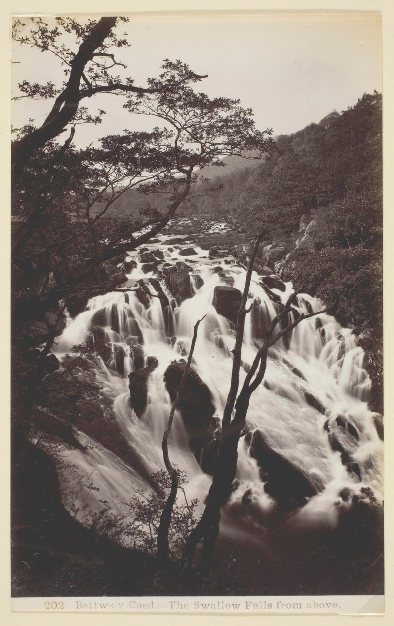 Bettws-y Coed, The Swallow Falls from Above, 186094. av Francis Bedford