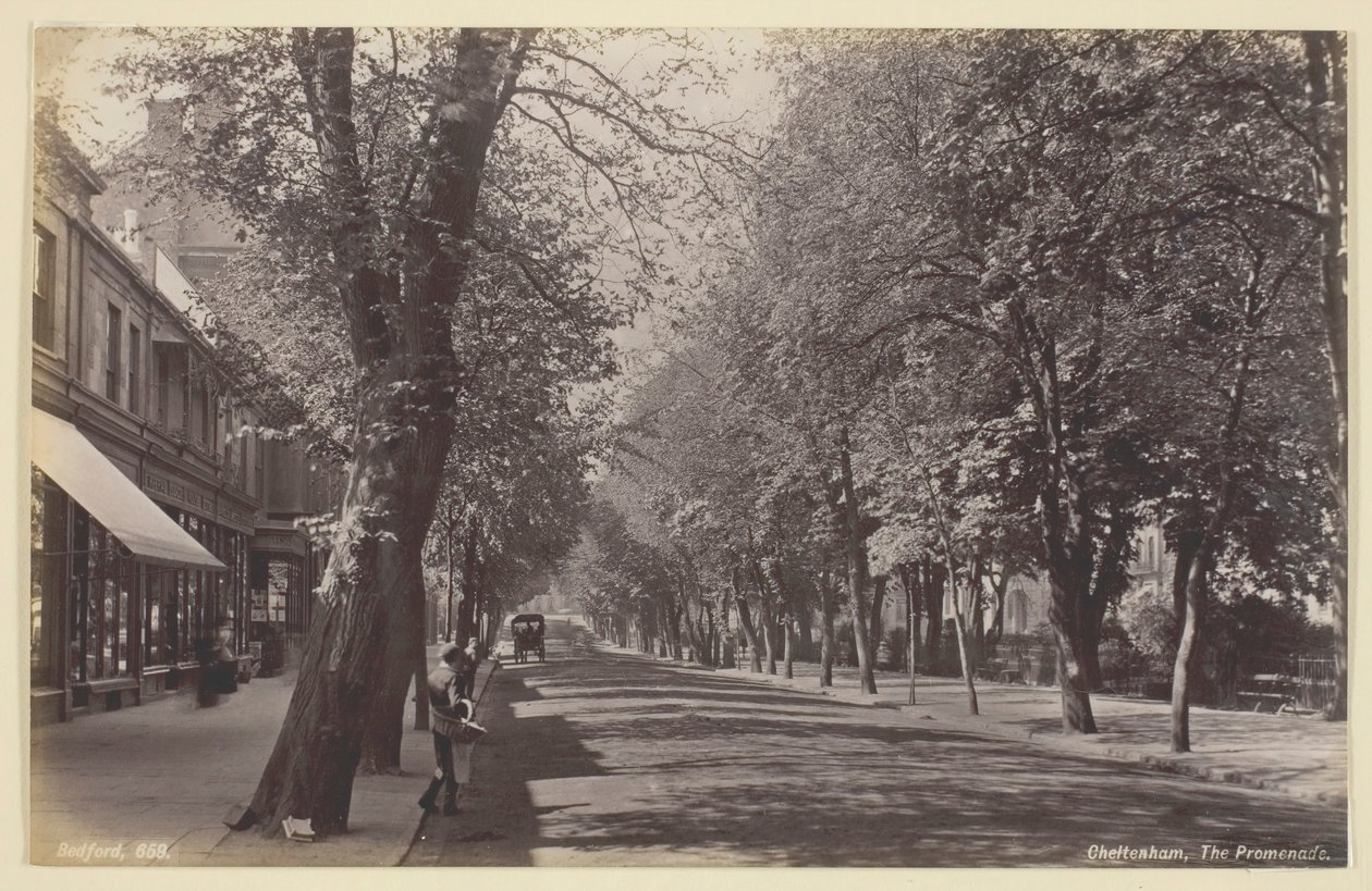 Cheltenham, Promenade, 186094. av Francis Bedford