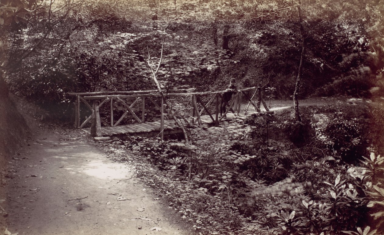 Colwyn Bay. Rustikk bro i skogen, 1870-tallet. av Francis Bedford