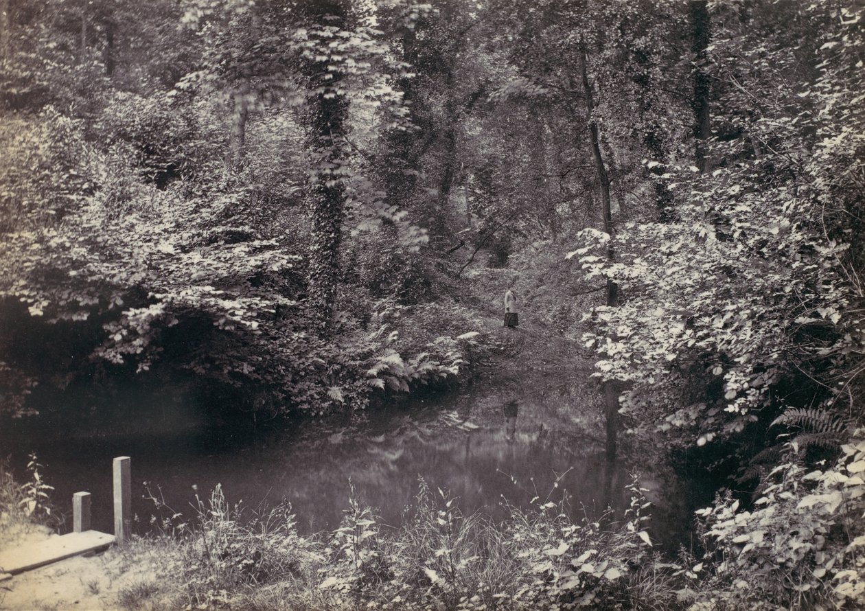 Colwyn Bay. The Pool in the Wood, 1870s.    1182598   no       norwegian Successfully Translated  Original: Mallard (colour litho) Translat: Mallard (colour litho) 1412975 no norwegian Successfully Translated Original: Zwei Mädchen in einer Landschaft Tran av Francis Bedford
