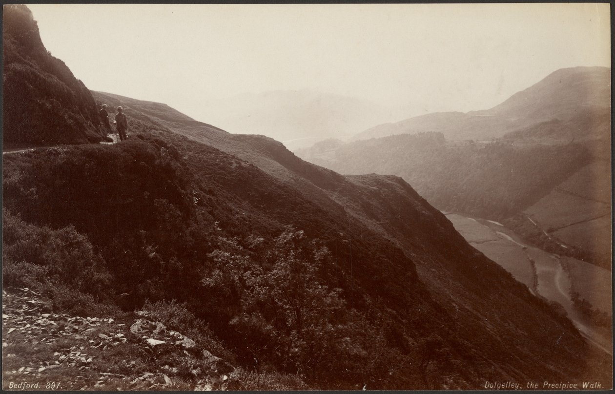 av Francis Bedford
