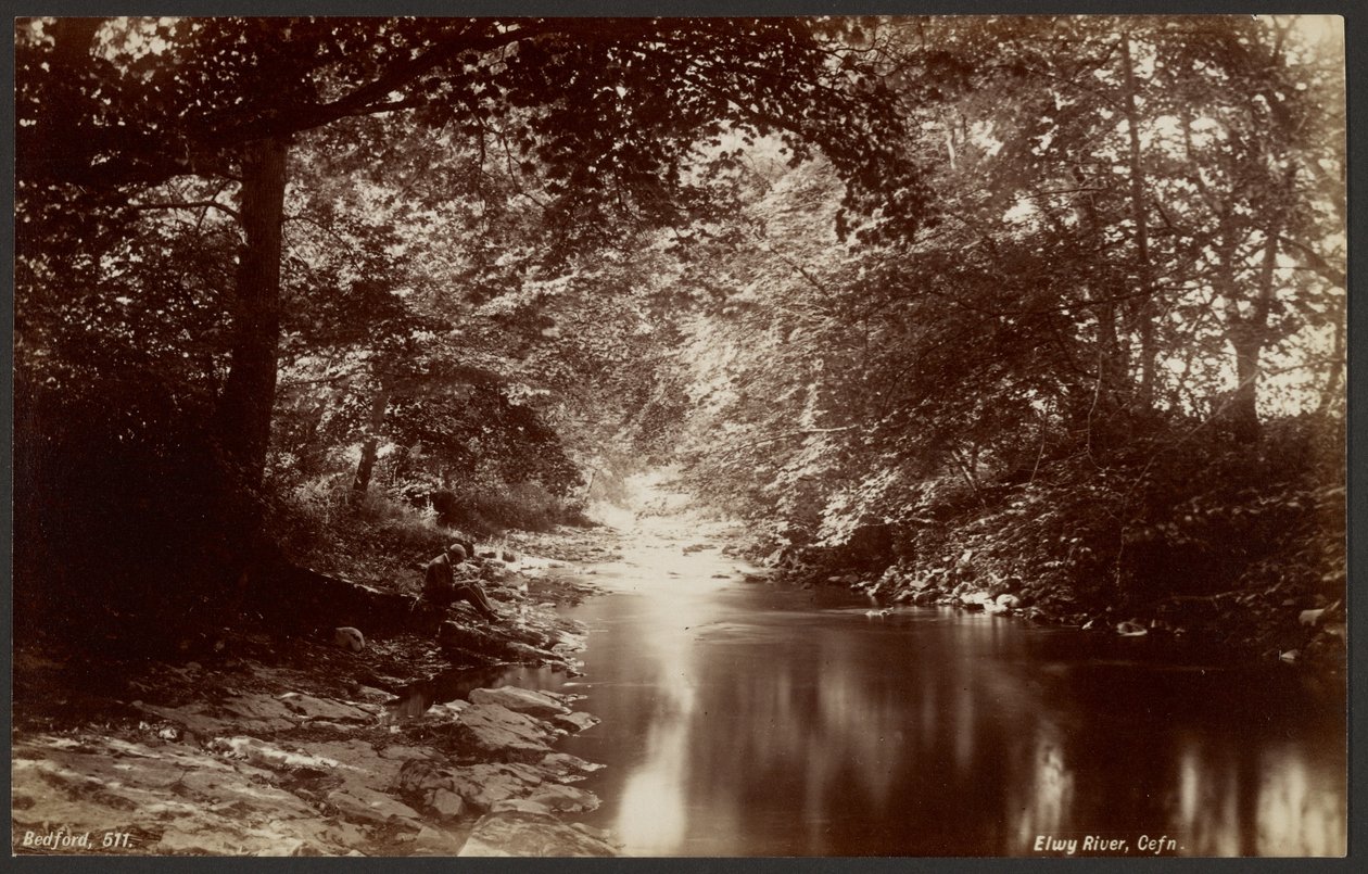 Elwy-elven, Cefn av Francis Bedford
