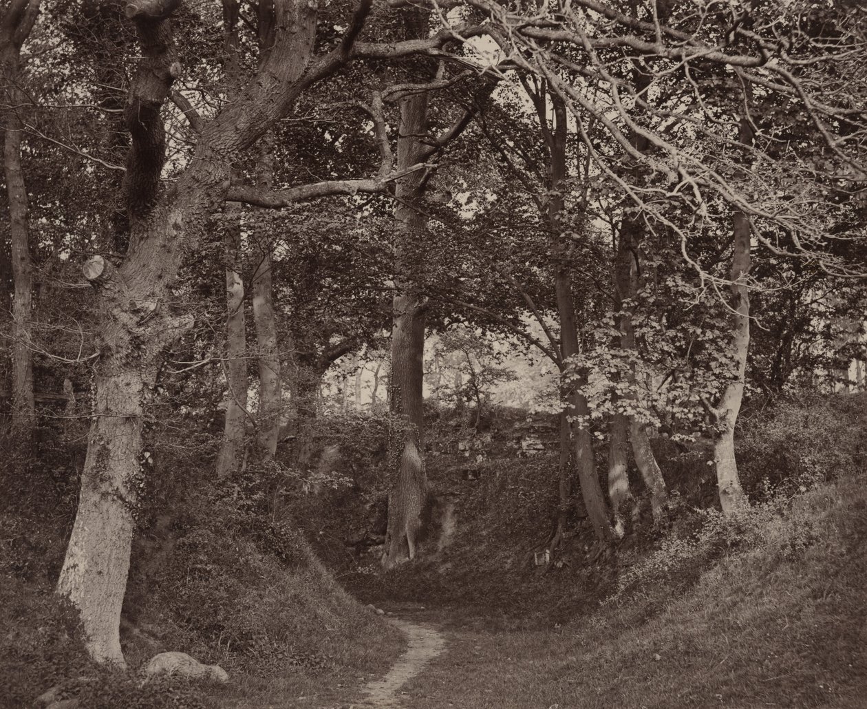  av Francis Bedford