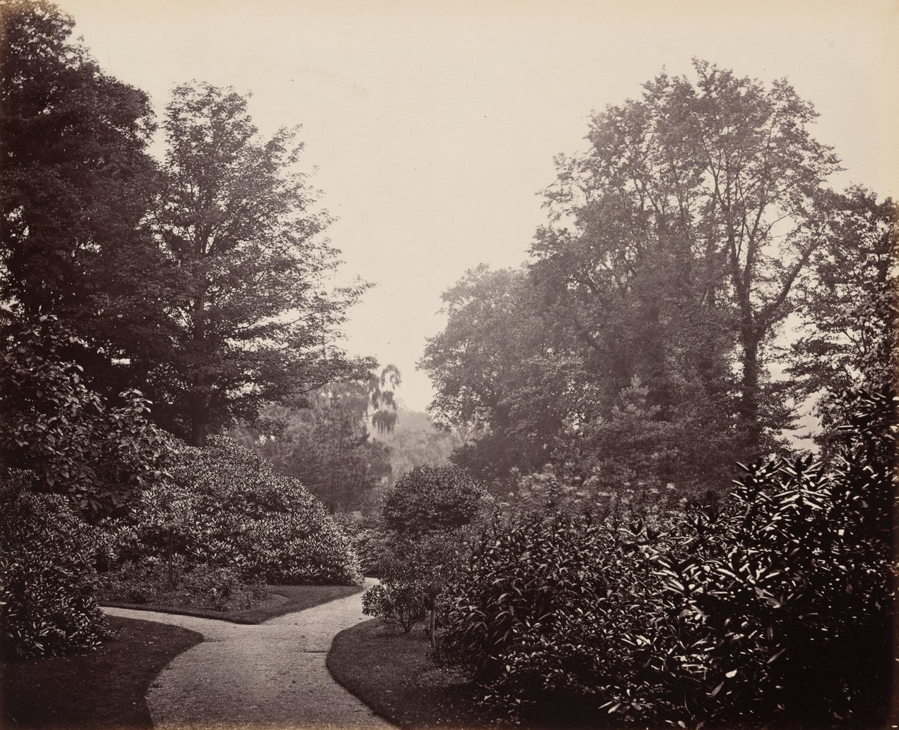 Sti i Alexandra Park av Francis Bedford