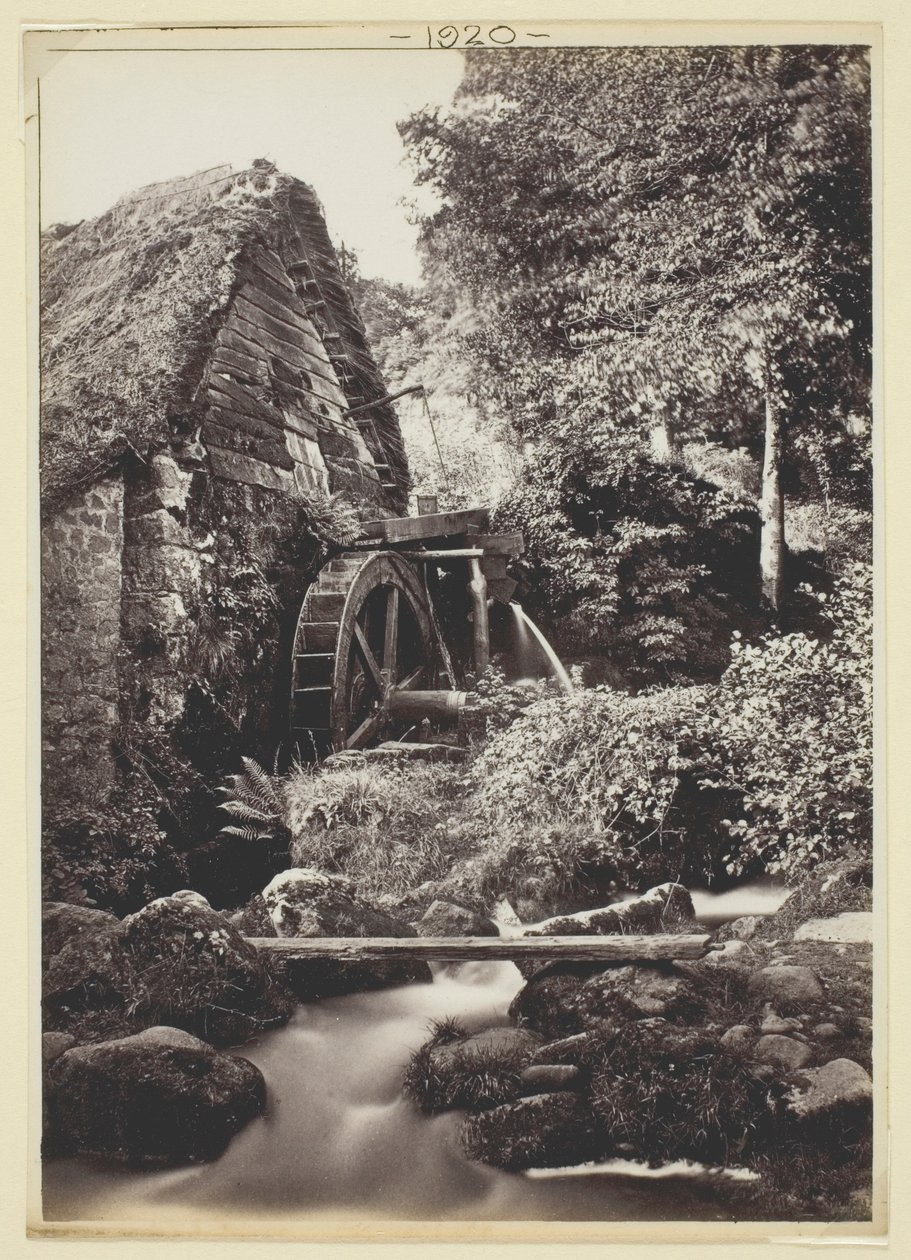 Uten navn av Francis Bedford