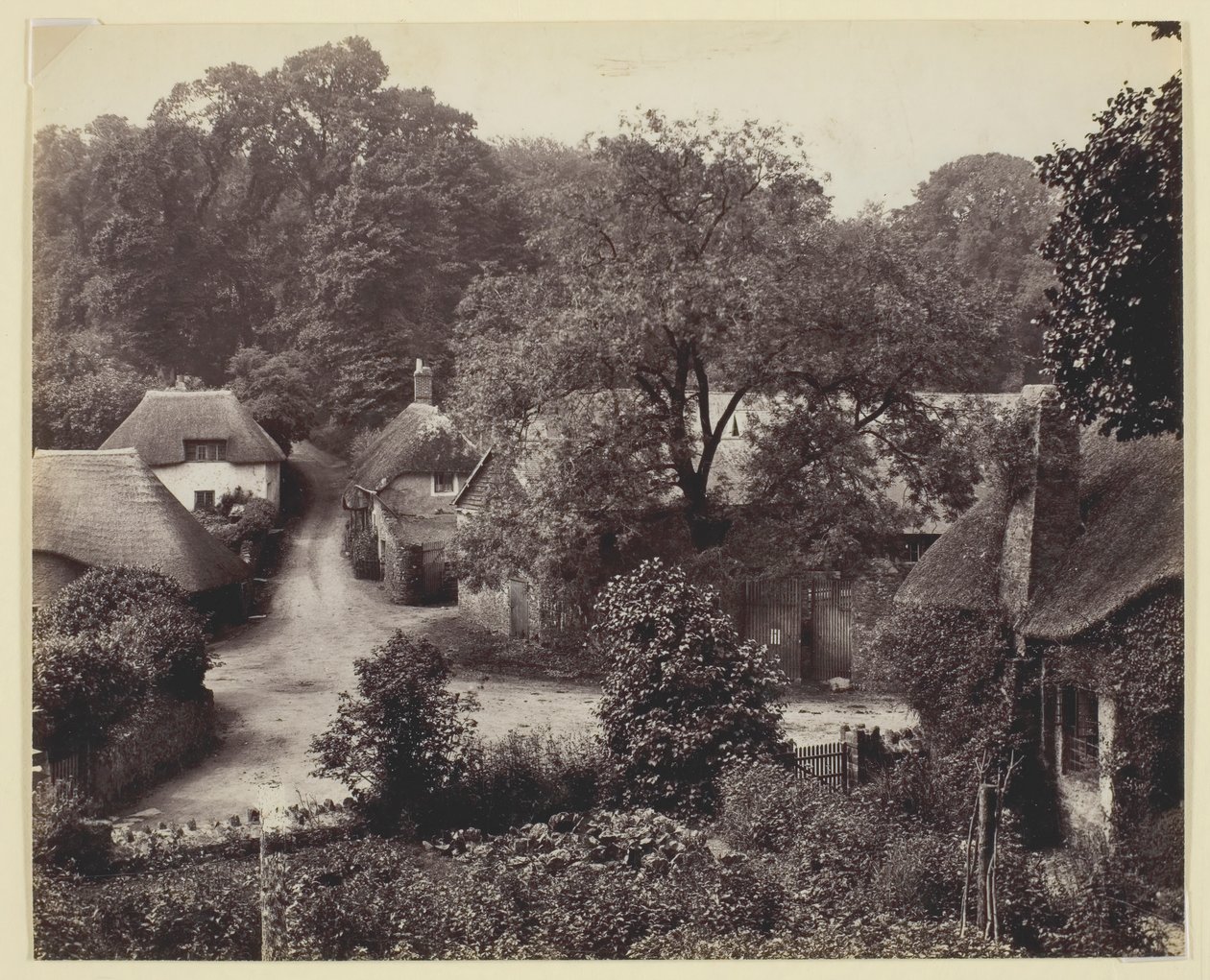 Uten tittel [hytter med stråtak], 186094. av Francis Bedford
