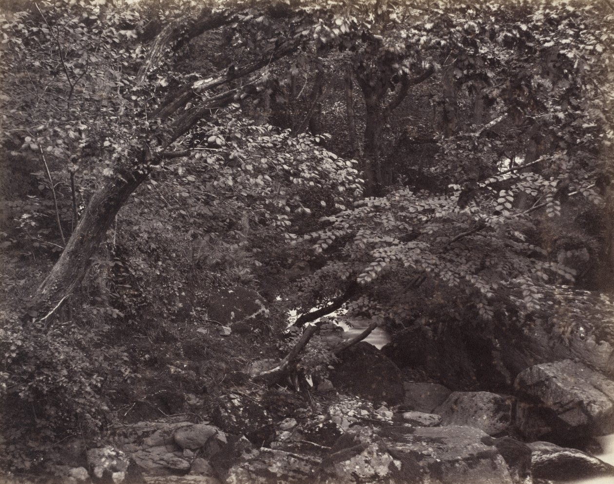 Glen ved Lynmouth av Francis Bedford, Francis Frith