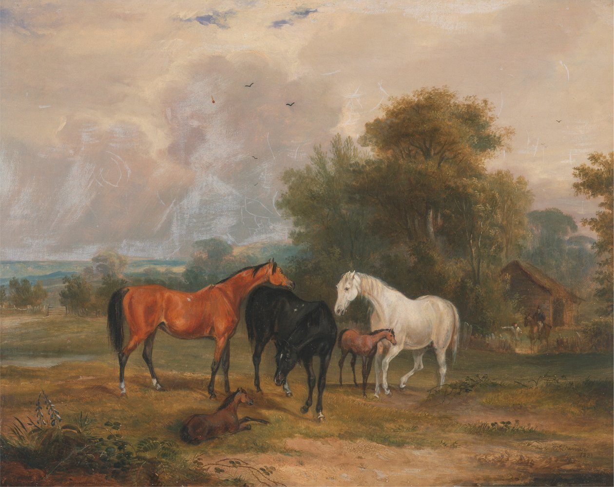 Hester på beite: Hopper og føll på åker av Francis Calcraft Turner