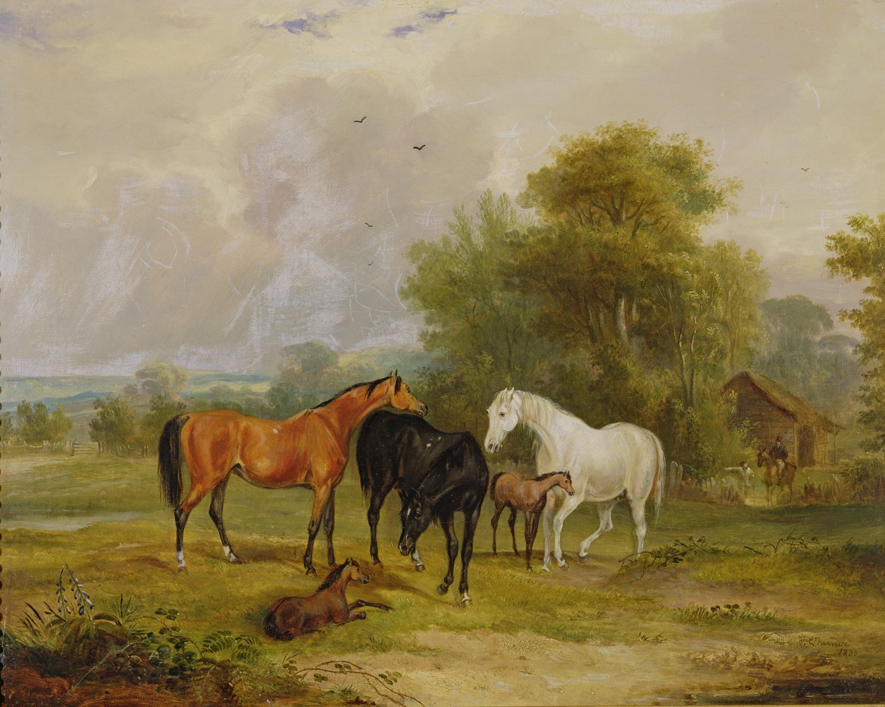 Hester på beite: Hopper og føll i åker av Francis Calcraft Turner