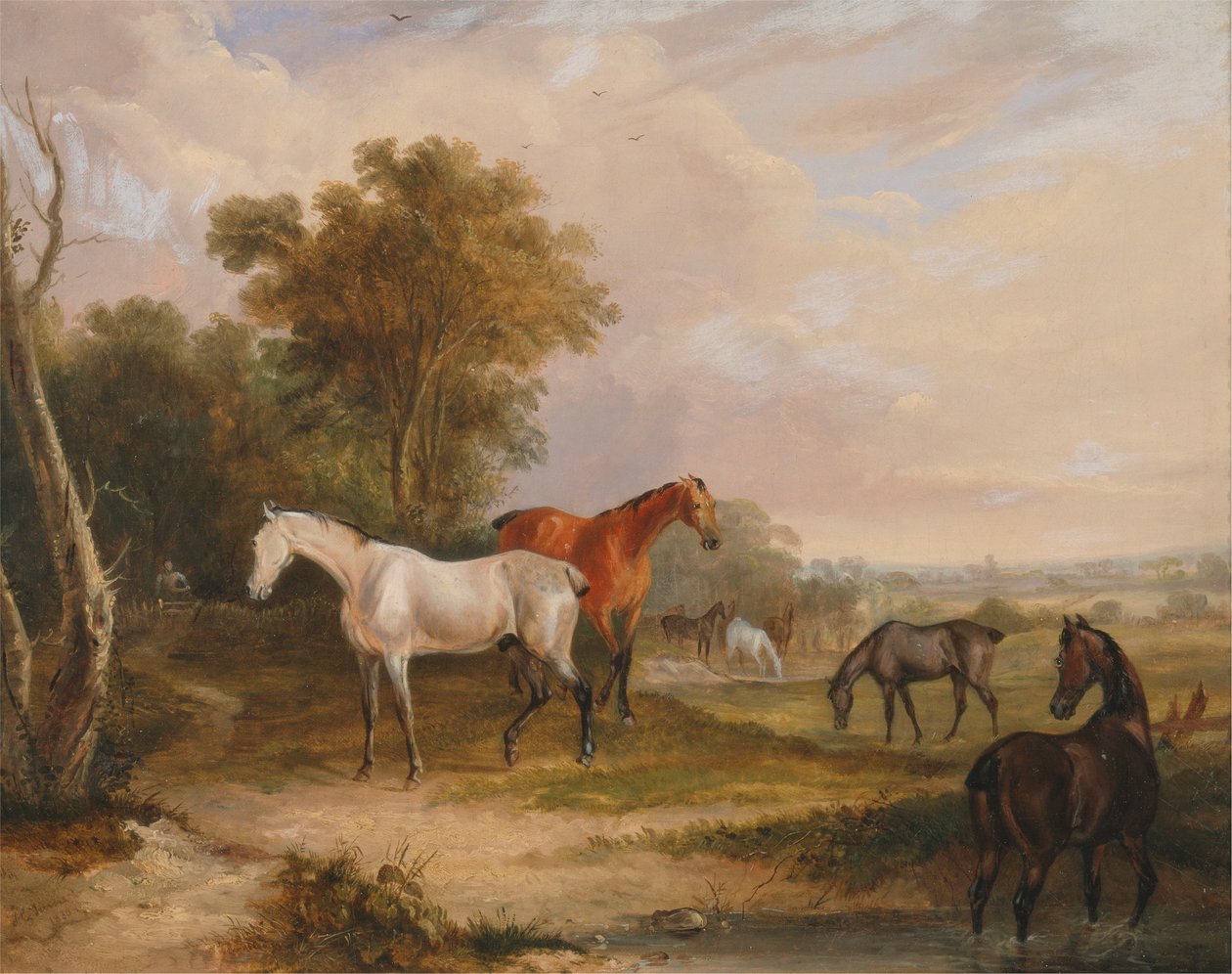 Hester som beiter: en grå hingst som beiter med hopper i en eng av Francis Calcraft Turner