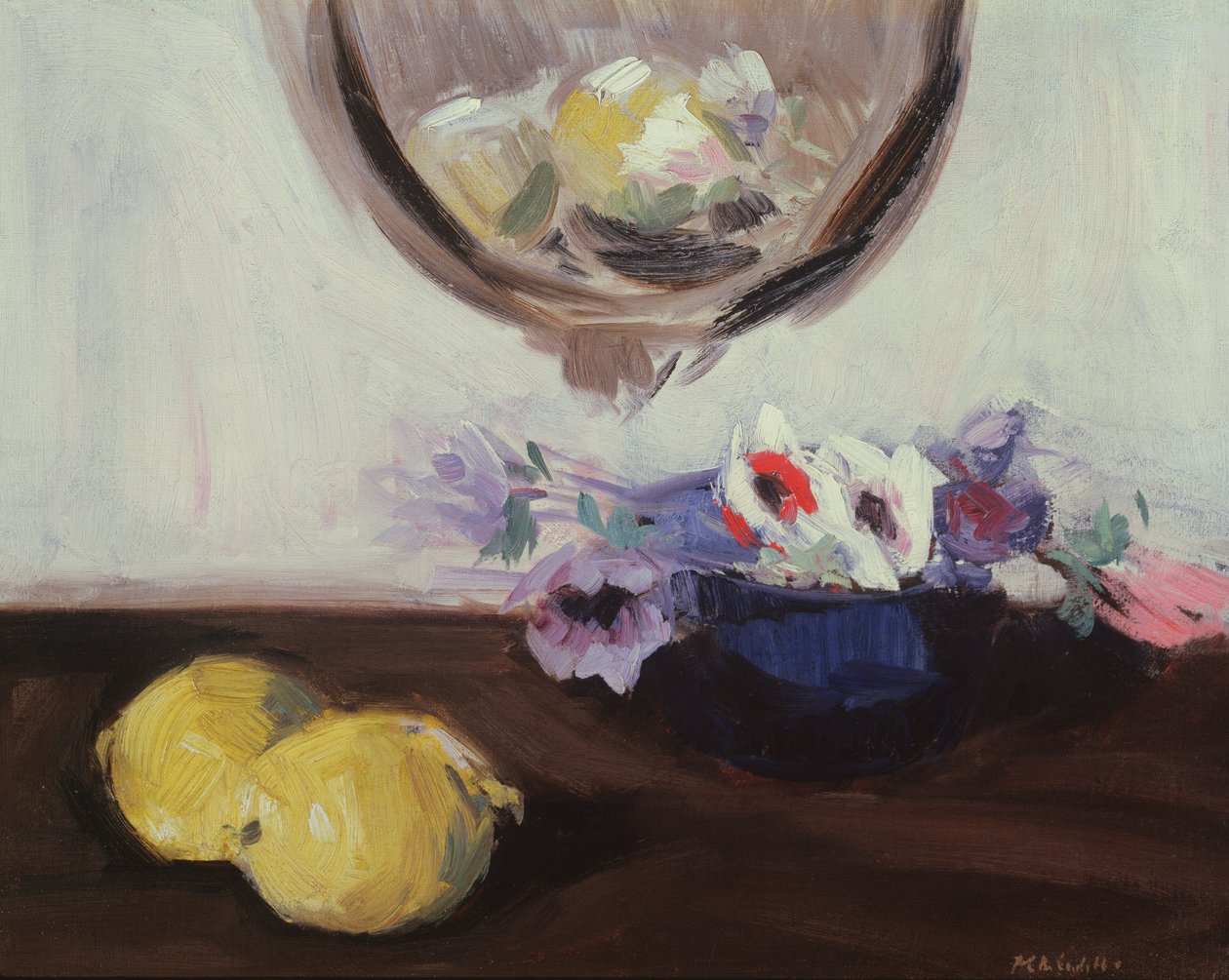 Anemoner og sitroner av Francis Campbell Boileau Cadell