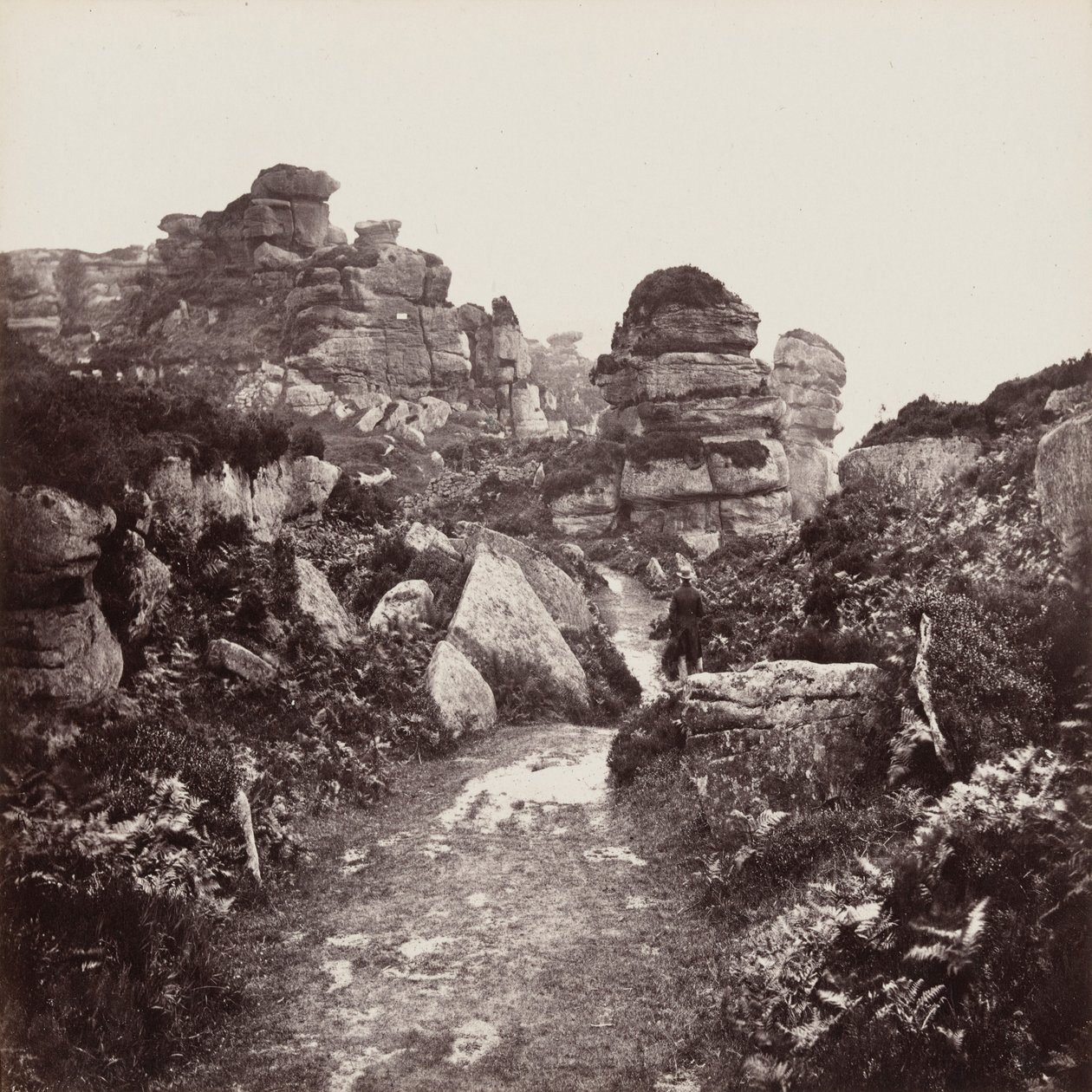 Brimham-klippene, Yorkshire av Francis Frith