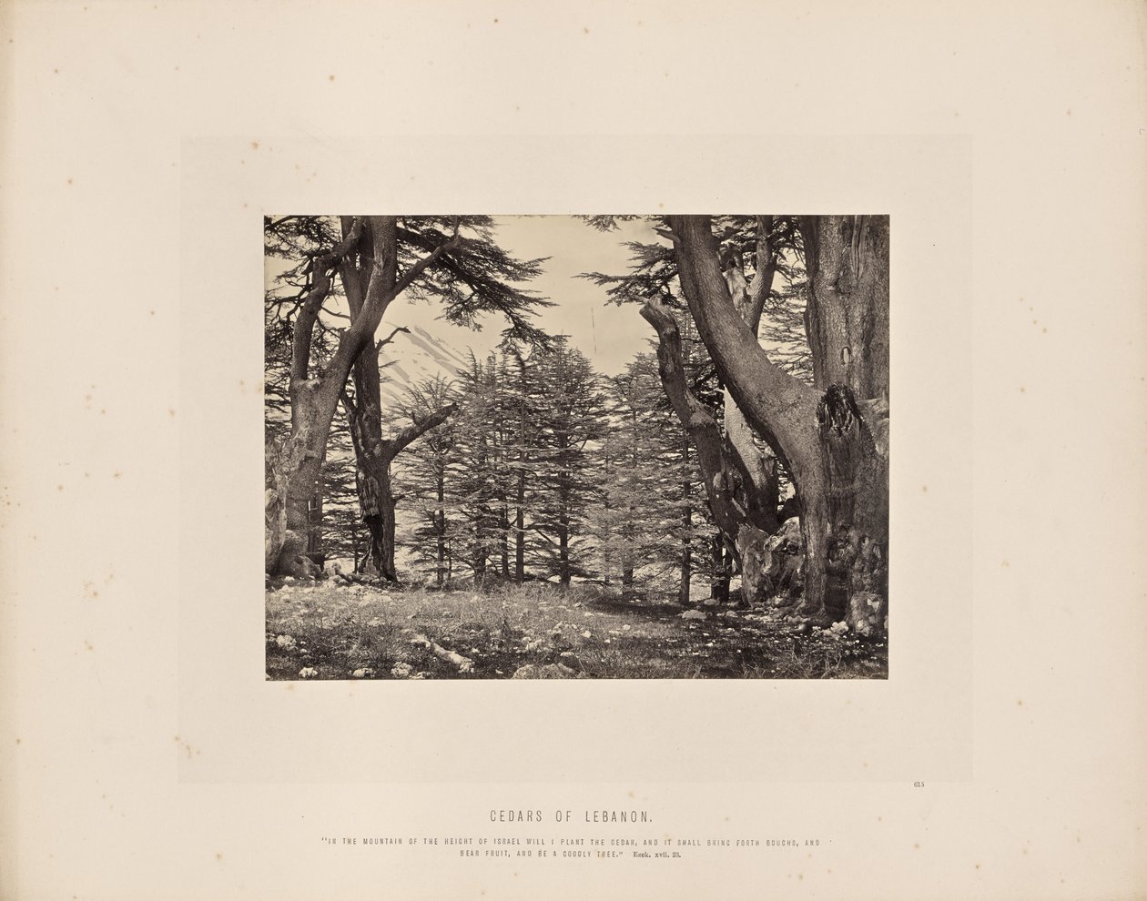  av Francis Frith