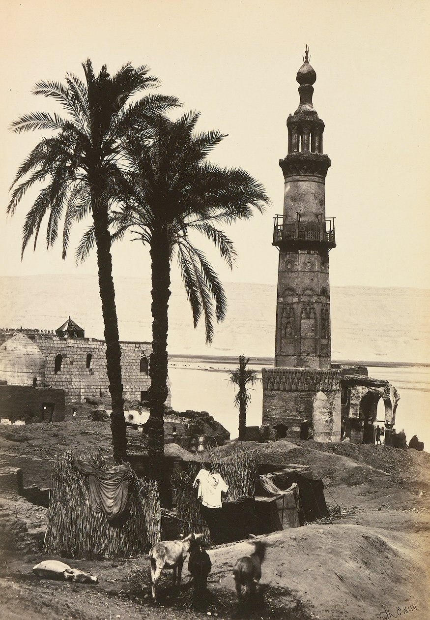 "Egypt og Palestina": utsikt over Girgeh, Øvre Egypt av Francis Frith
