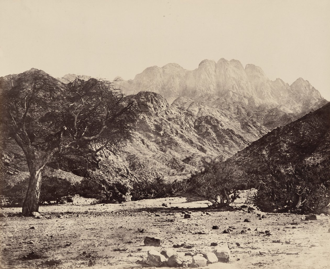 Serbal-fjellet, fra Wadi Feiran, Egypt av Francis Frith