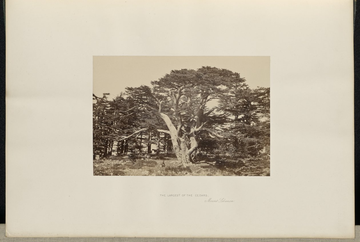  av Francis Frith