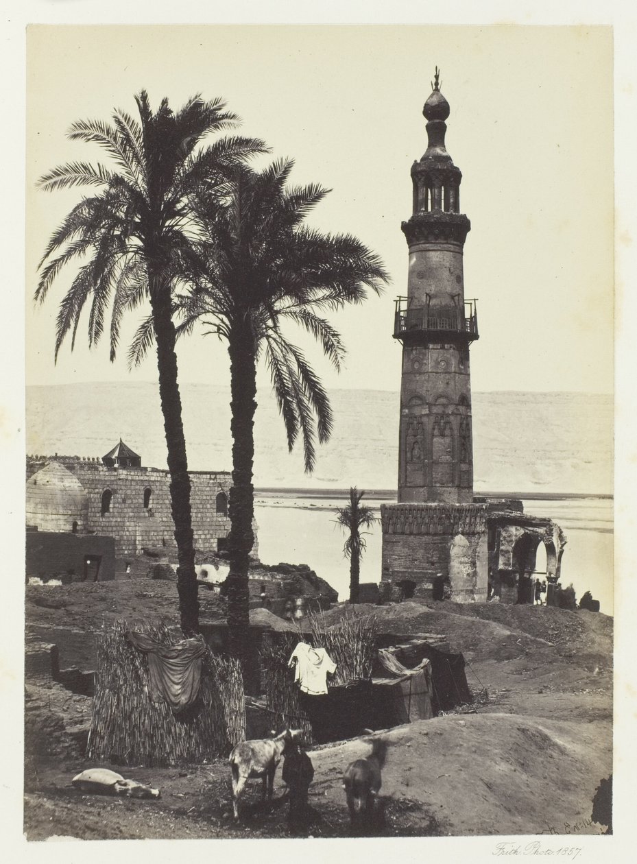 Utsikt over Girgeh, Øvre Egypt av Francis Frith