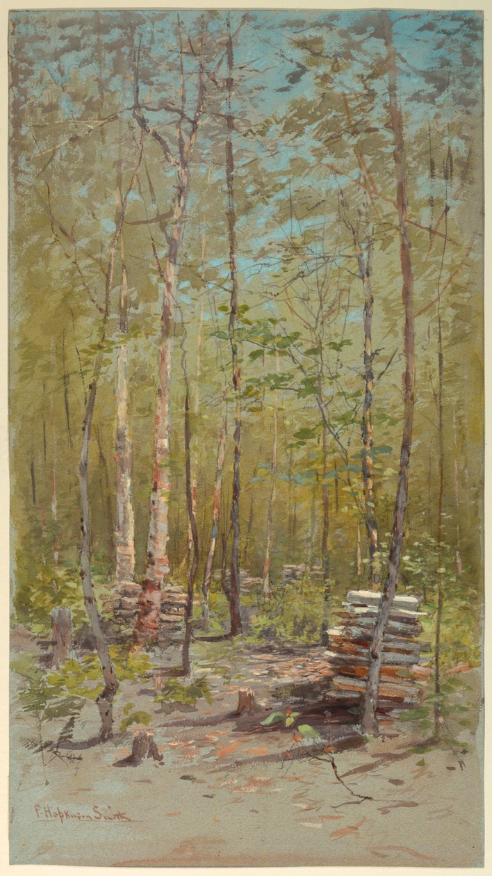 Bjørketrær av Francis Hopkinson Smith