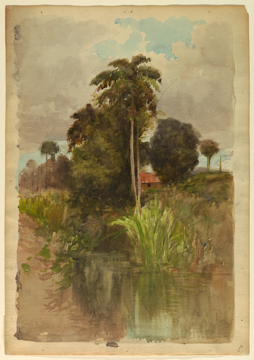 Studie av palmer av Francis Hopkinson Smith
