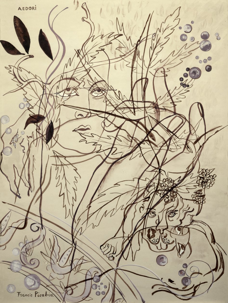  av Francis Picabia