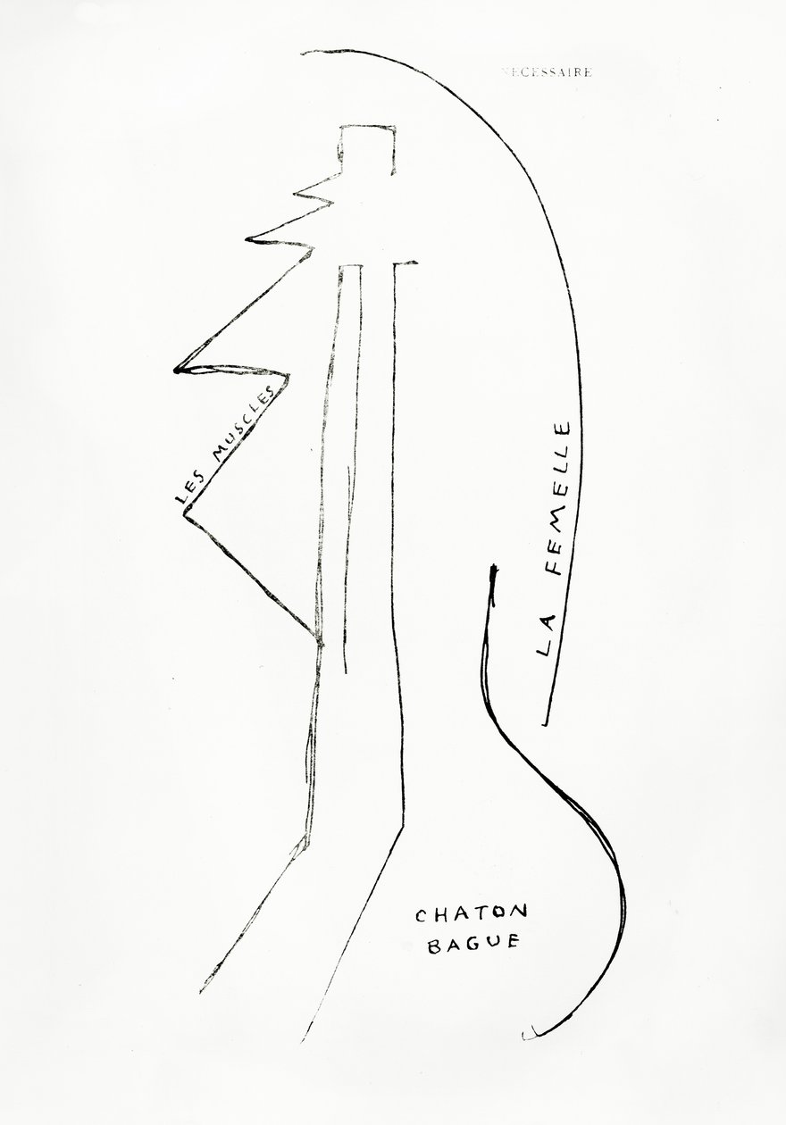  av Francis Picabia