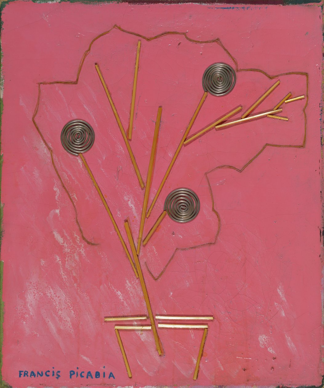  av Francis Picabia
