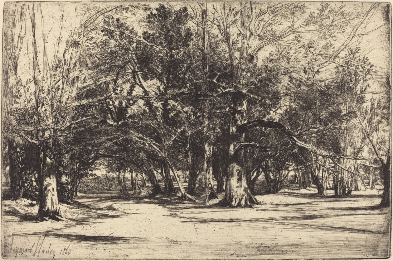 En by-road i Tipperary av Francis Seymour Haden
