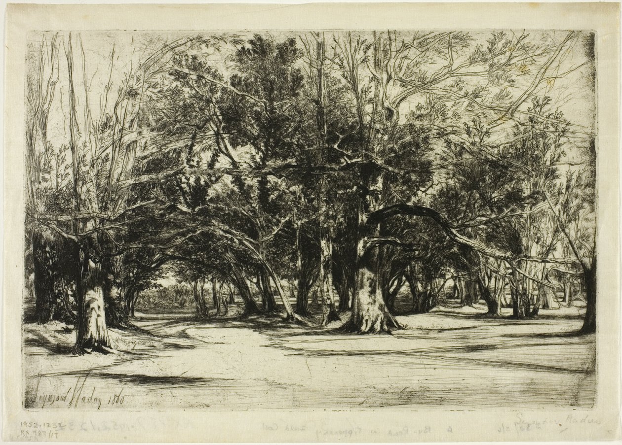 En by-road i Tipperary av Francis Seymour Haden