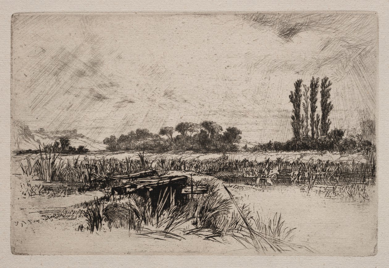 A Water Meadow, 1859. av Francis Seymour Haden
