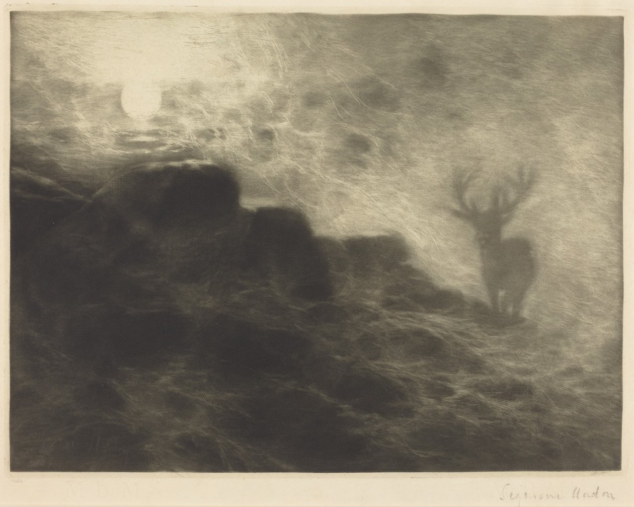 En morgenfugl av Francis Seymour Haden