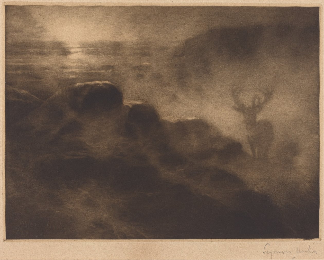 En morgenfugl av Francis Seymour Haden