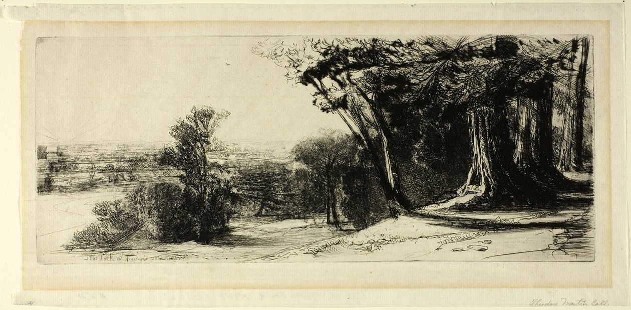 Tidlig morgen, Richmond Park av Francis Seymour Haden