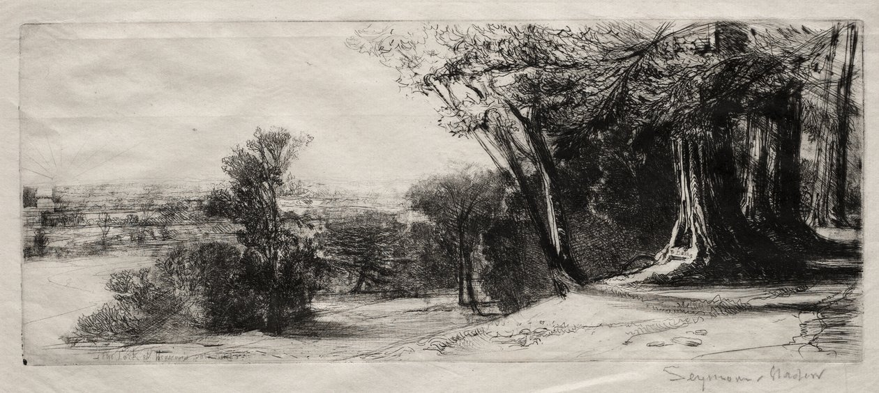 Tidlig morgen, Richmond Park av Francis Seymour Haden