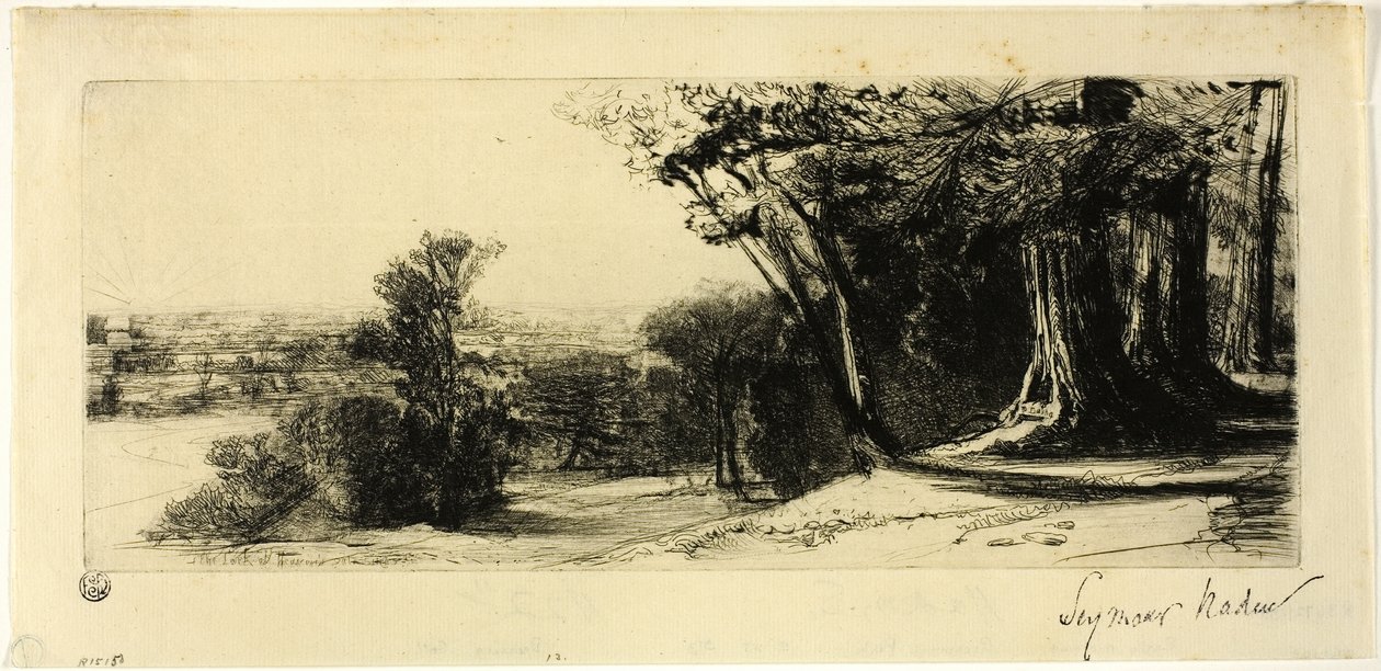 Tidlig morgen, Richmond Park av Francis Seymour Haden