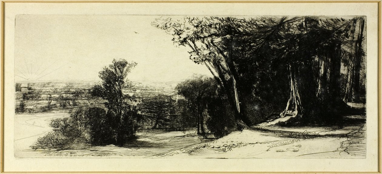 Tidlig morgen, Richmond Park av Francis Seymour Haden