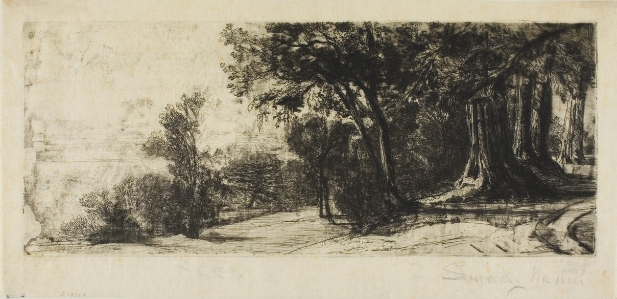 Tidlig morgen, Richmond Park av Francis Seymour Haden