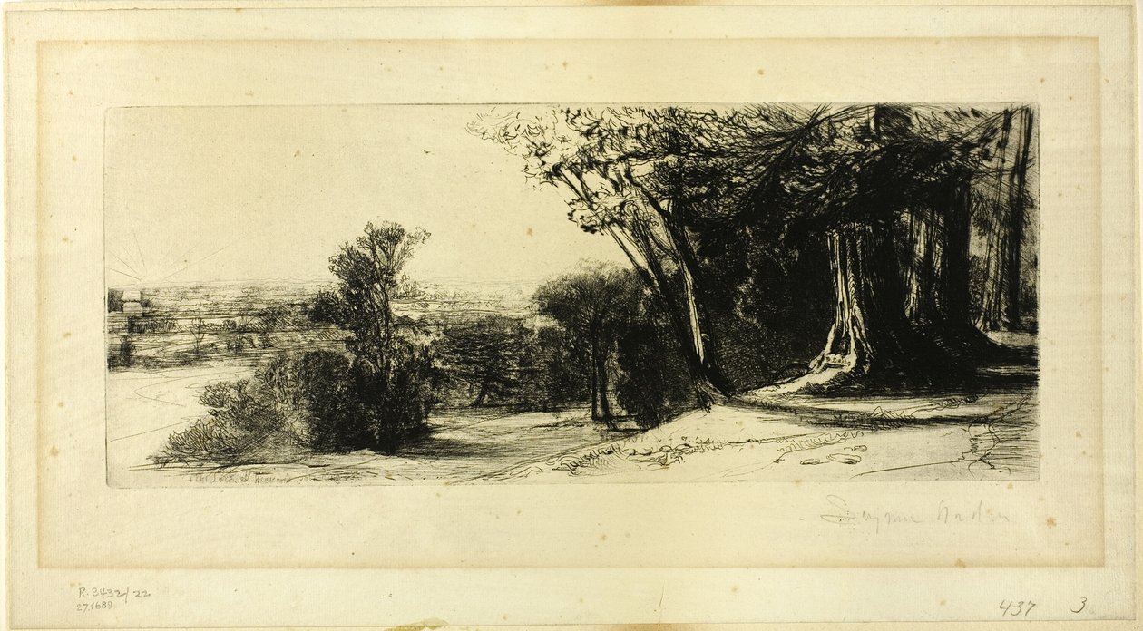 Tidlig morgen, Richmond Park av Francis Seymour Haden