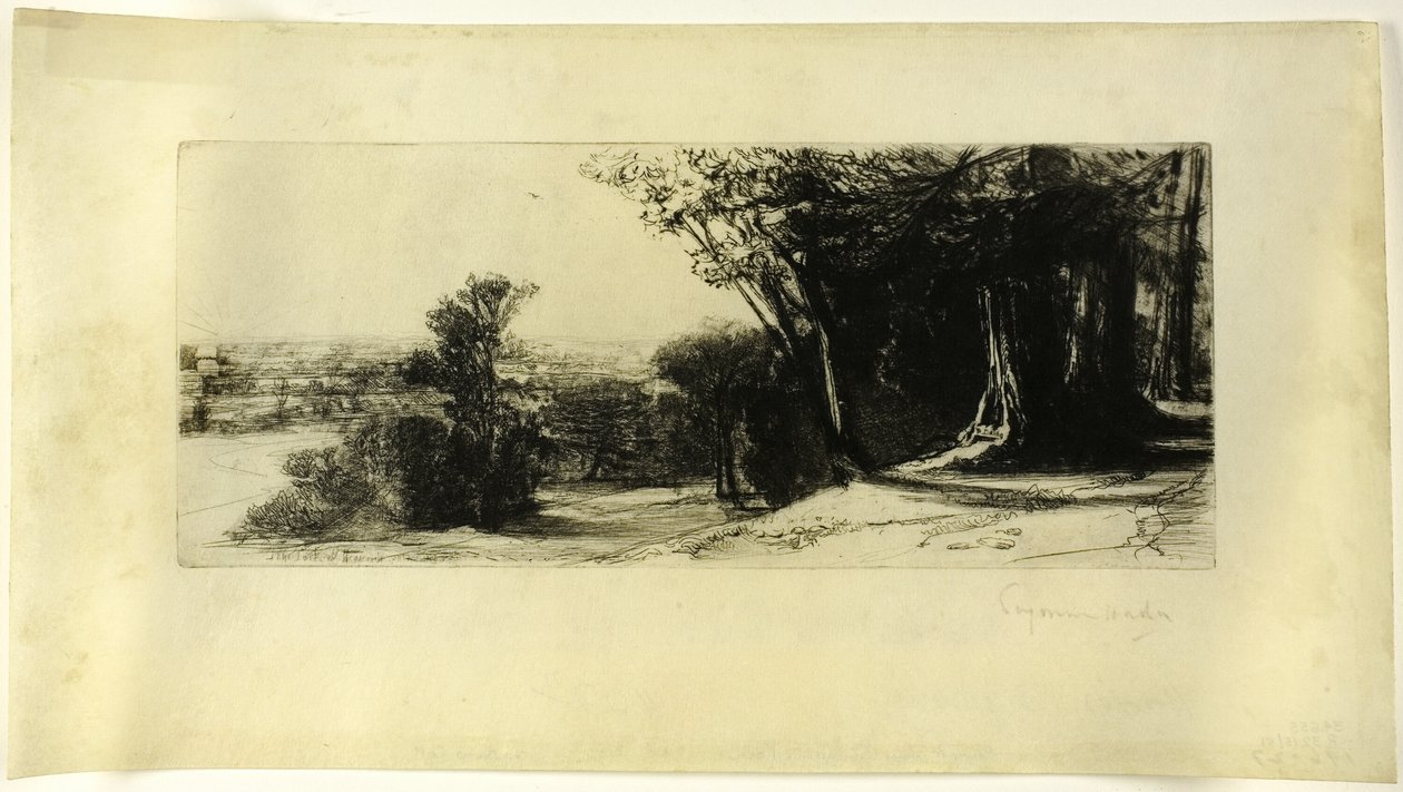 Tidlig morgen, Richmond Park av Francis Seymour Haden