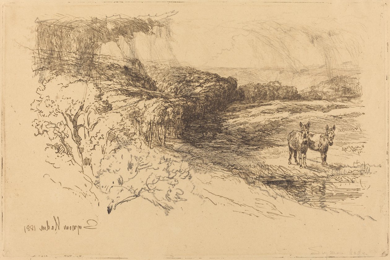 Encombe Woods (nr. 1) av Francis Seymour Haden