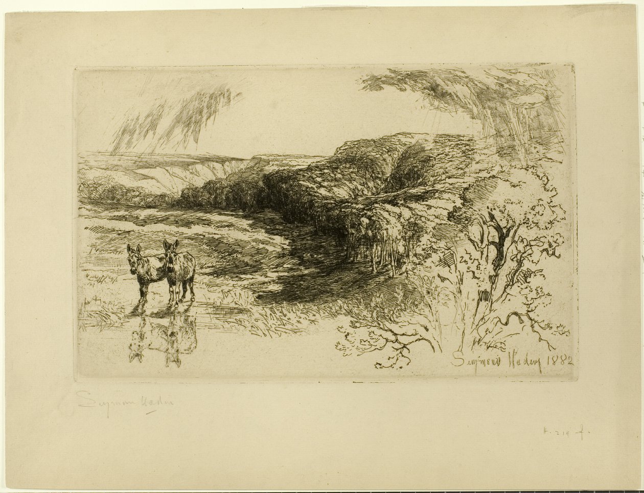 Encombe Woods, nr. II av Francis Seymour Haden