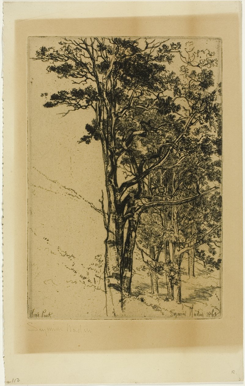 Gran (en studie) av Francis Seymour Haden